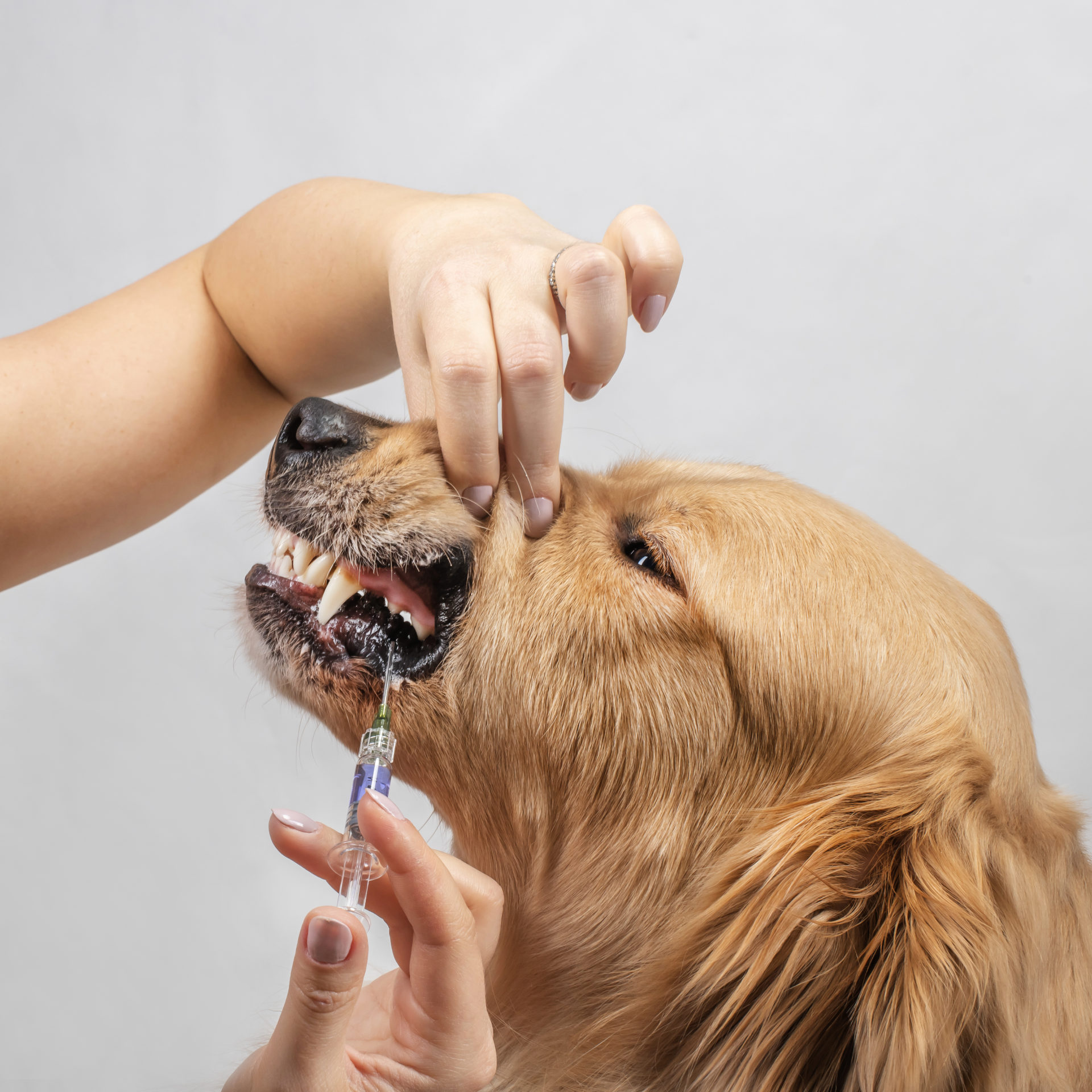 15 Incredible Uses for Borosilicate Glass Syringes Kopperko